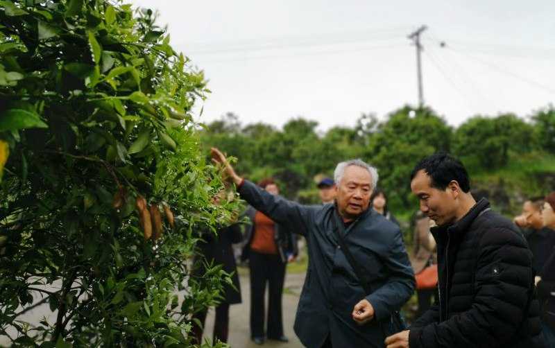 市工协组织农业专家赴绿水村调研指导